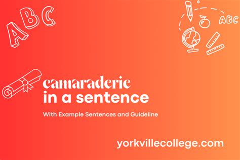 use comradery in a sentence.